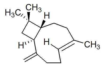 β-丁香烯