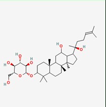 20(S)-人参皂苷-RH2