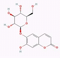 秦皮甲素