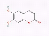 秦皮乙素