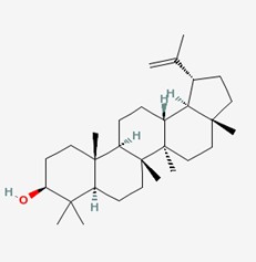 羽扇豆醇