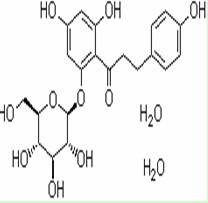 根皮苷(二水)