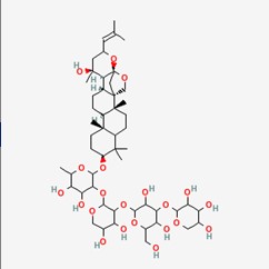 酸枣仁皂苷B