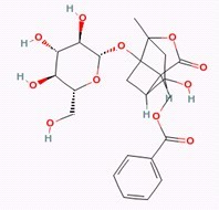 芍药内酯苷