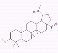 白桦脂醛