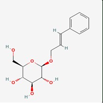 洛缌/络缌