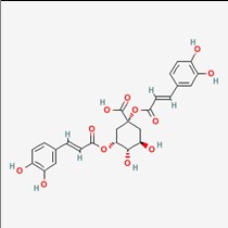 1,5-二咖啡酰奎宁酸