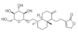 新穿心莲内酯