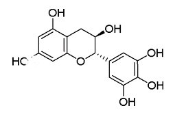 没食子儿茶素GC