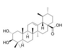 科罗索酸