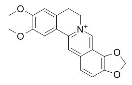 表小檗碱