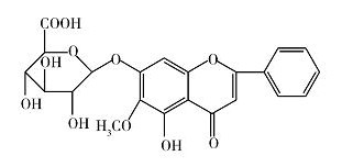 千层纸素A-7-0-β-D-葡萄糖醛酸苷
