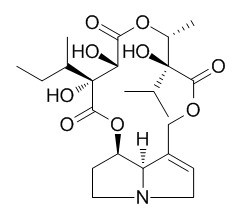 17-Methylparsonsianidine