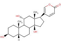 和蟾蜍他灵,和蟾毒他灵
