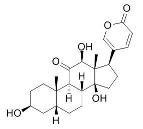 12β-伪异沙蟾毒精