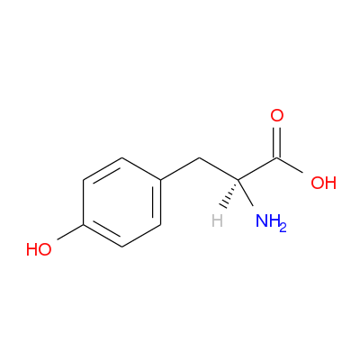L-酪氨酸