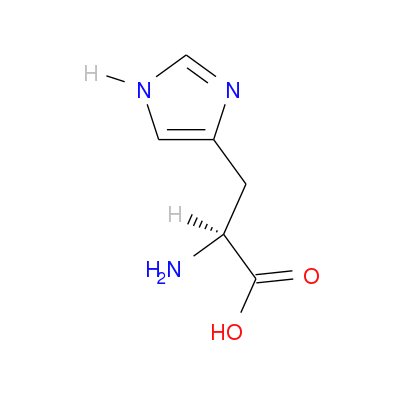 组氨酸