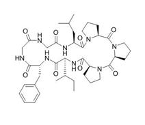 太子参环肽B