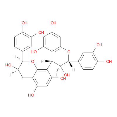 原花青素B4