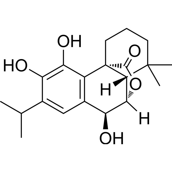 迷迭香酚