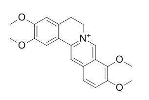 巴马汀；掌叶防已碱