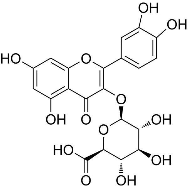 槲皮素-3-葡萄糖醛酸苷