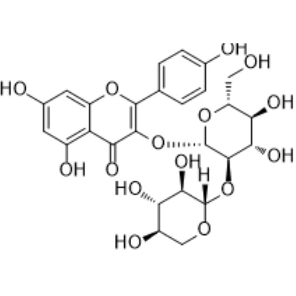 山奈酚3-O-桑布双糖苷；堪非醇3-O-桑布双糖苷