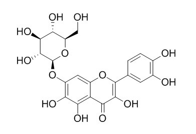 槲皮万寿菊苷