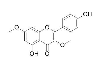 华良姜素;熊竹素