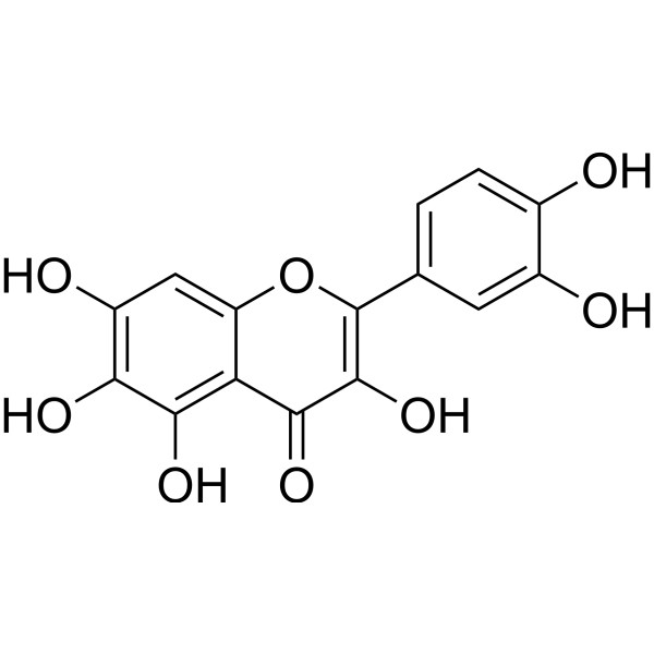 6-羟基槲皮素