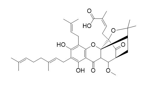 10-甲氧基新藤黄酸