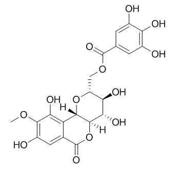 11-O-没食子酰岩白菜素