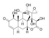 13α(21)-环氧宽缨酮