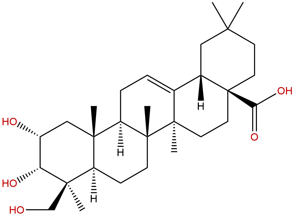 2α,3α,24-三羟基齐墩果烷-12-烯-28-酸