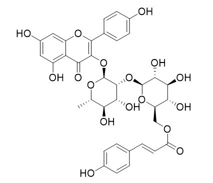 3-O-{2-O-[6-O-(p羟基-反-香豆酰)-葡萄糖基]-鼠李糖基}山奈酚