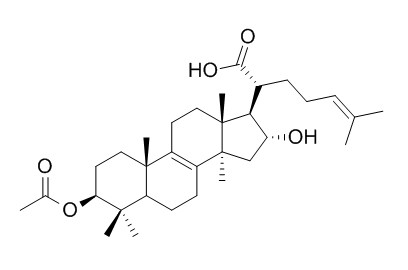 3-O-乙酰基-16α-羟基栓菌酸