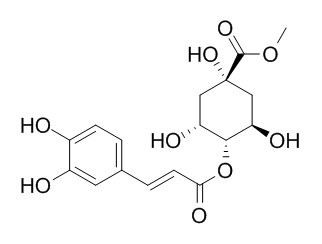 4-O-(E)-咖啡酰基奎宁酸甲酯