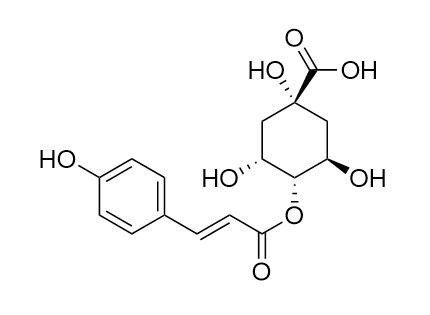 4-O-对香豆酰基奎宁酸