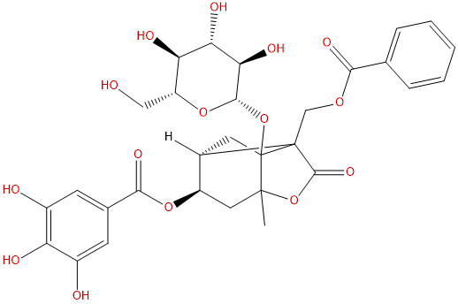 4-O-没食子酰白芍苷