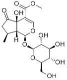 5-羟基马鞭草苷