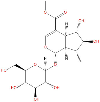 6β-羟基-7-表-马钱子苷
