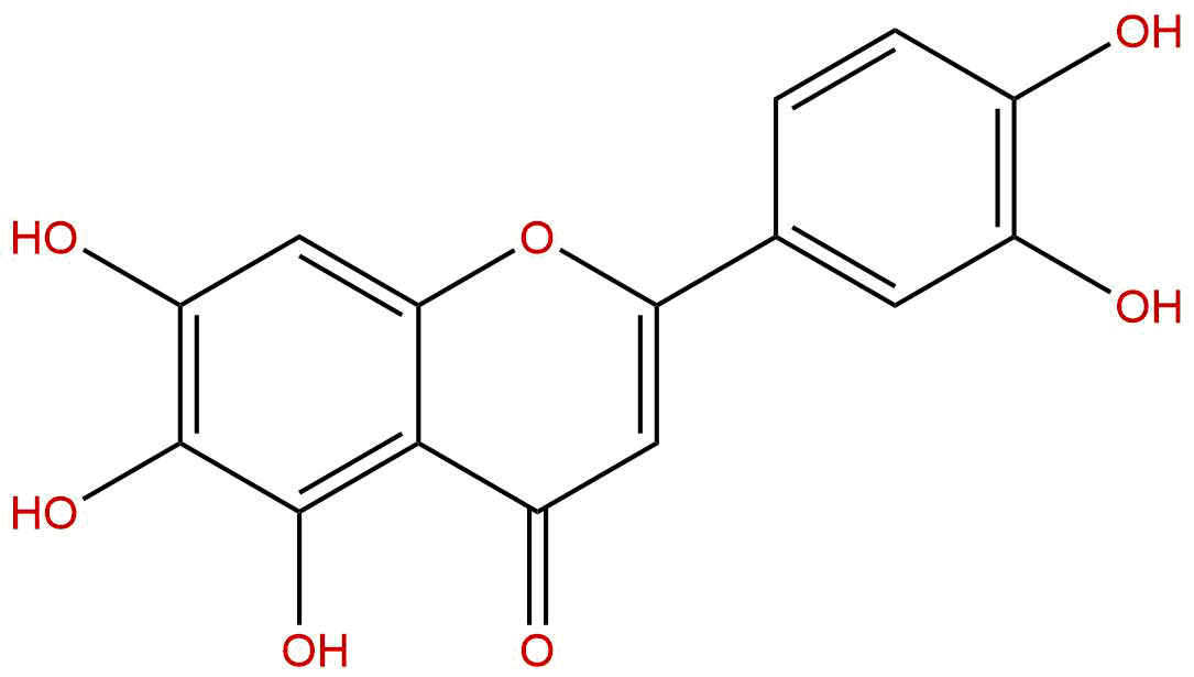 6-羟基四羟黄酮