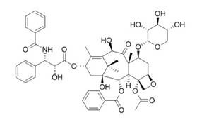 7-木糖苷-10-脱乙酰基紫杉醇