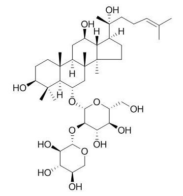 R-三七皂苷R2