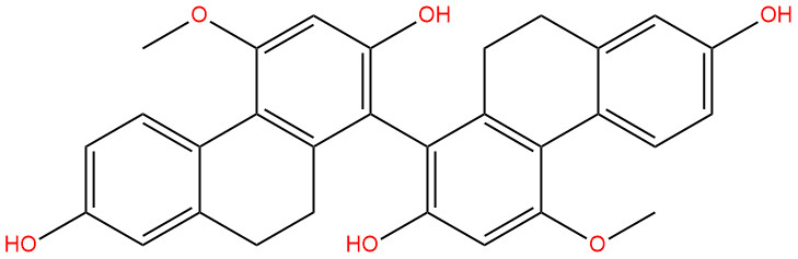 白及联菲A