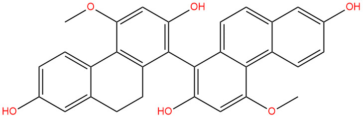 白及联菲B