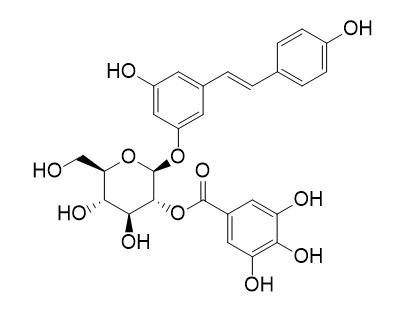 白藜芦醇-4'-O-β-D-(6''-O-没食子酰)葡萄糖苷