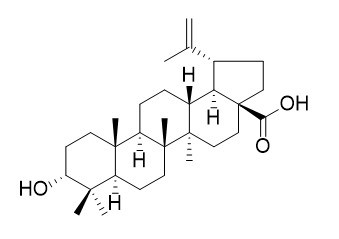 表白桦脂酸