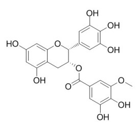 表没食子儿茶素 3-O-(3-O-甲基)没食子酸酯