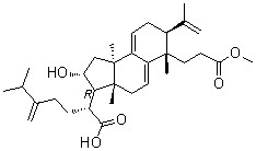 茯苓酸AM